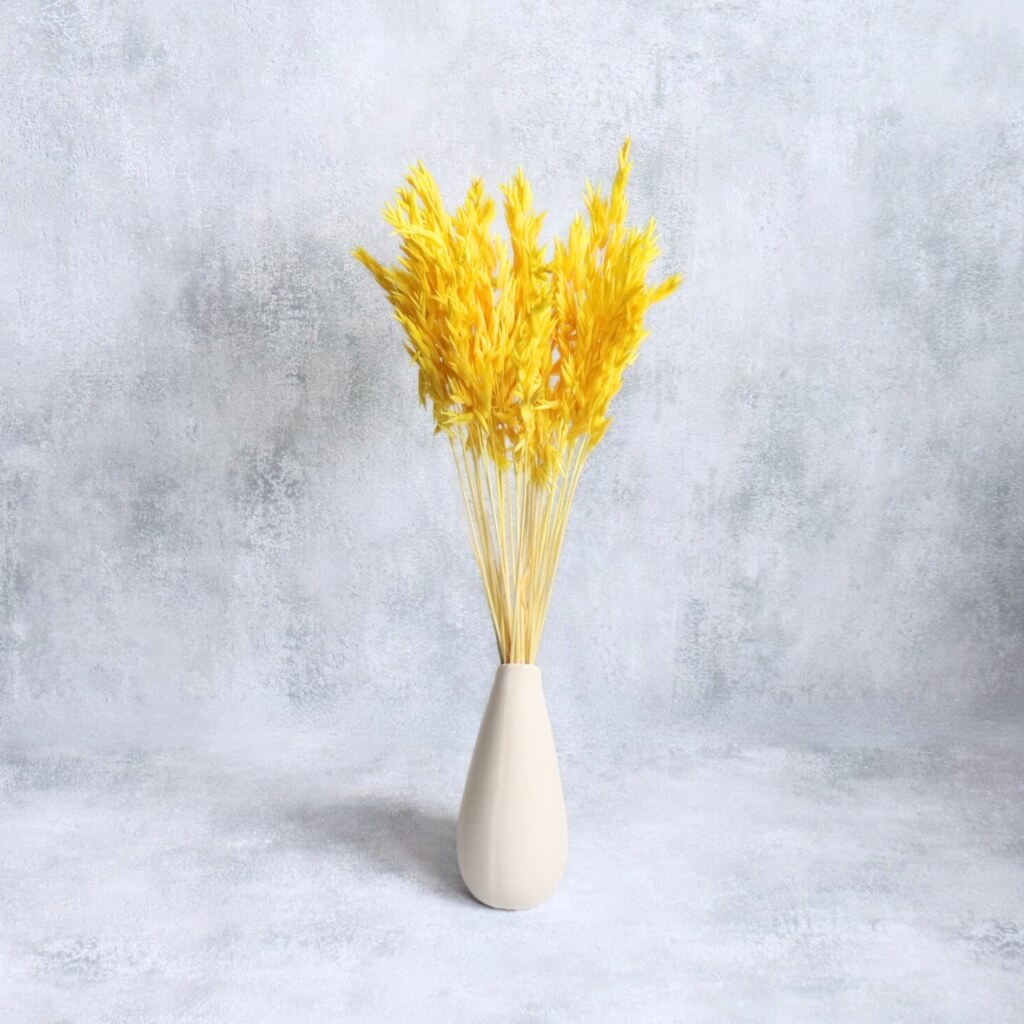 Sušená Avena (Oves) žlutá - přírodní dekorační tráva pro aranžmá